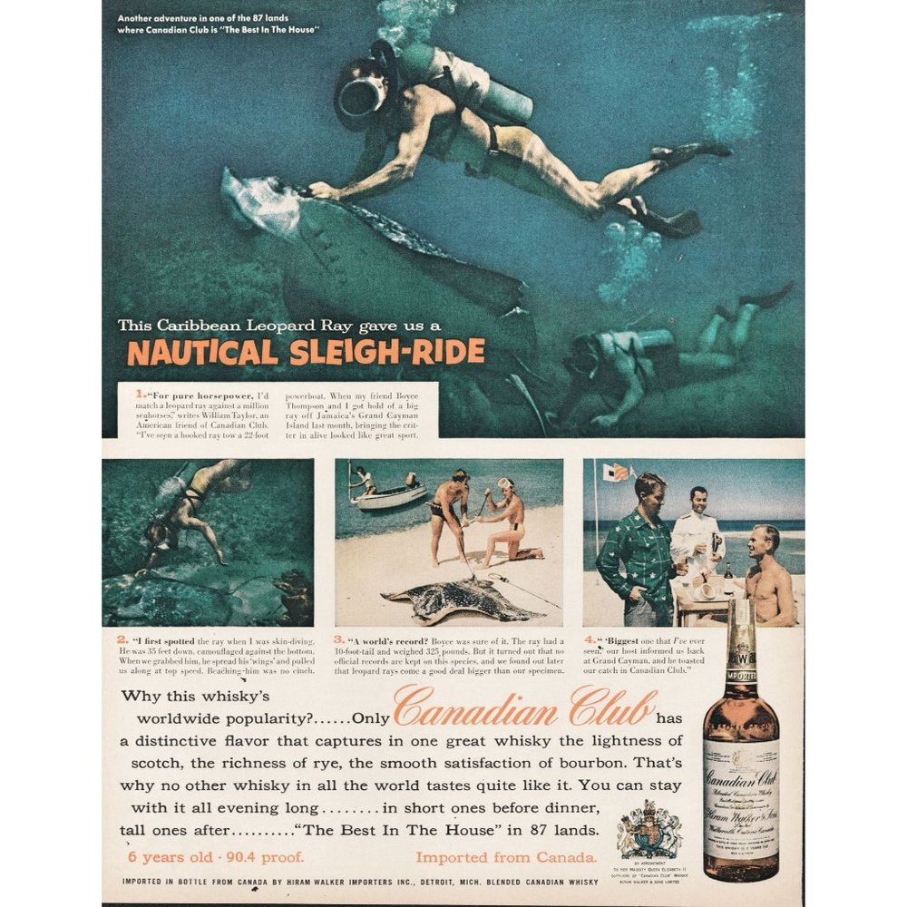 1956 Canadian Club Whisky Vintage Print Ad Scuba Diving Sting Ray Caribbean Art
